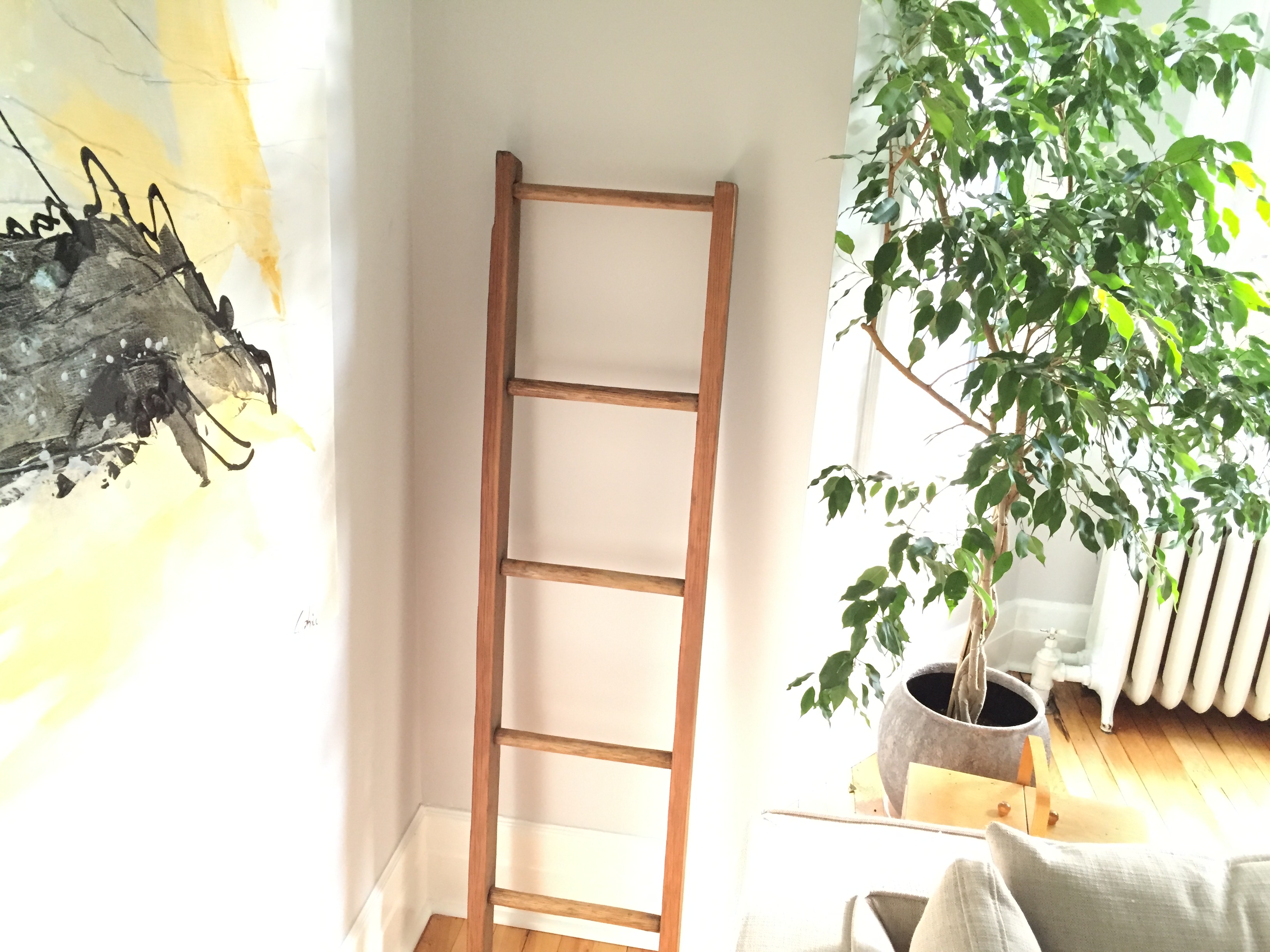 decorative wall ladder