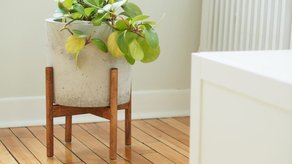 How to make a wood plant stand